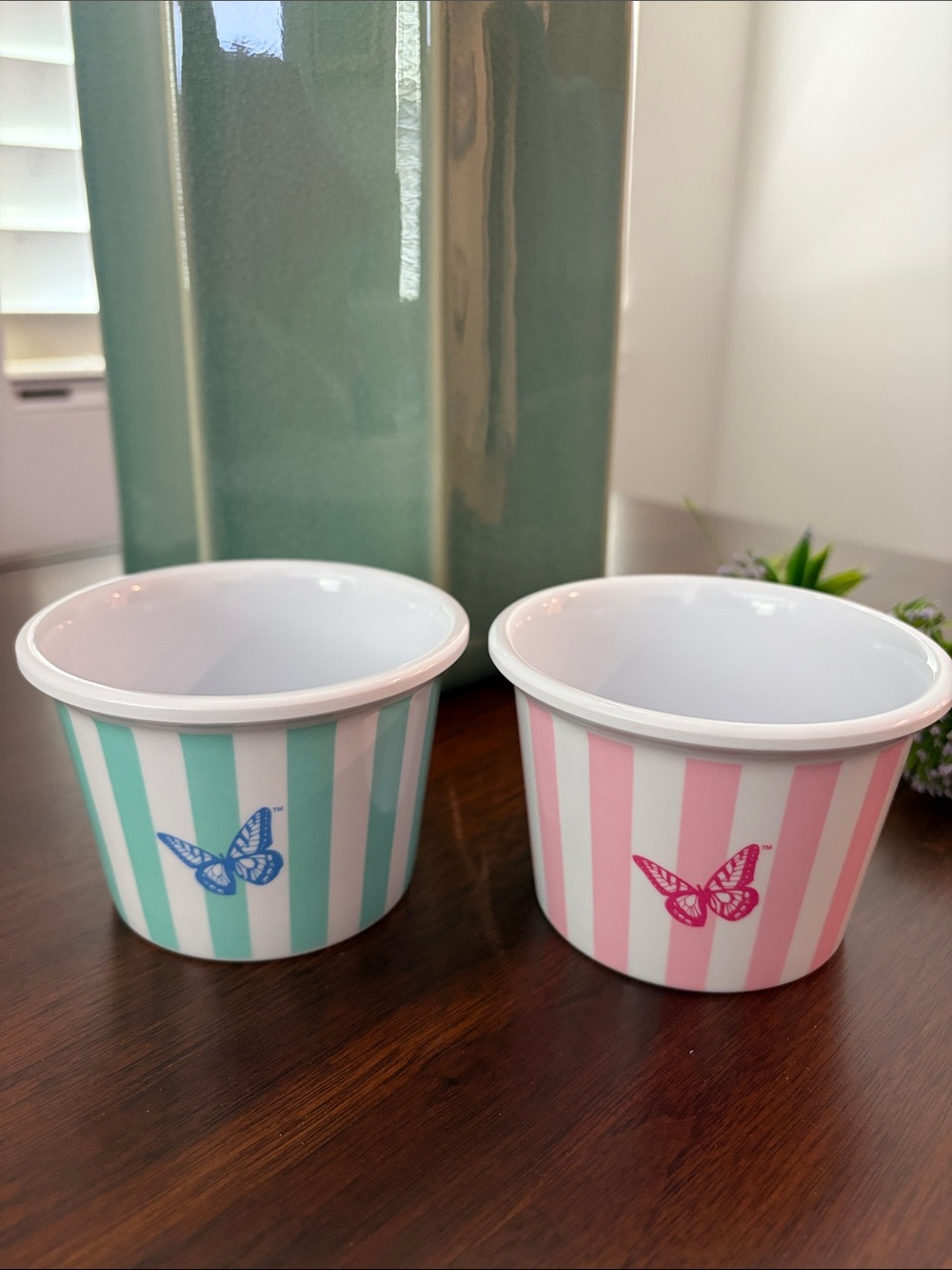 Dolly Parton Striped Mint & Pink Butterfly Ramekins Set of 2 Ice Cream Cups